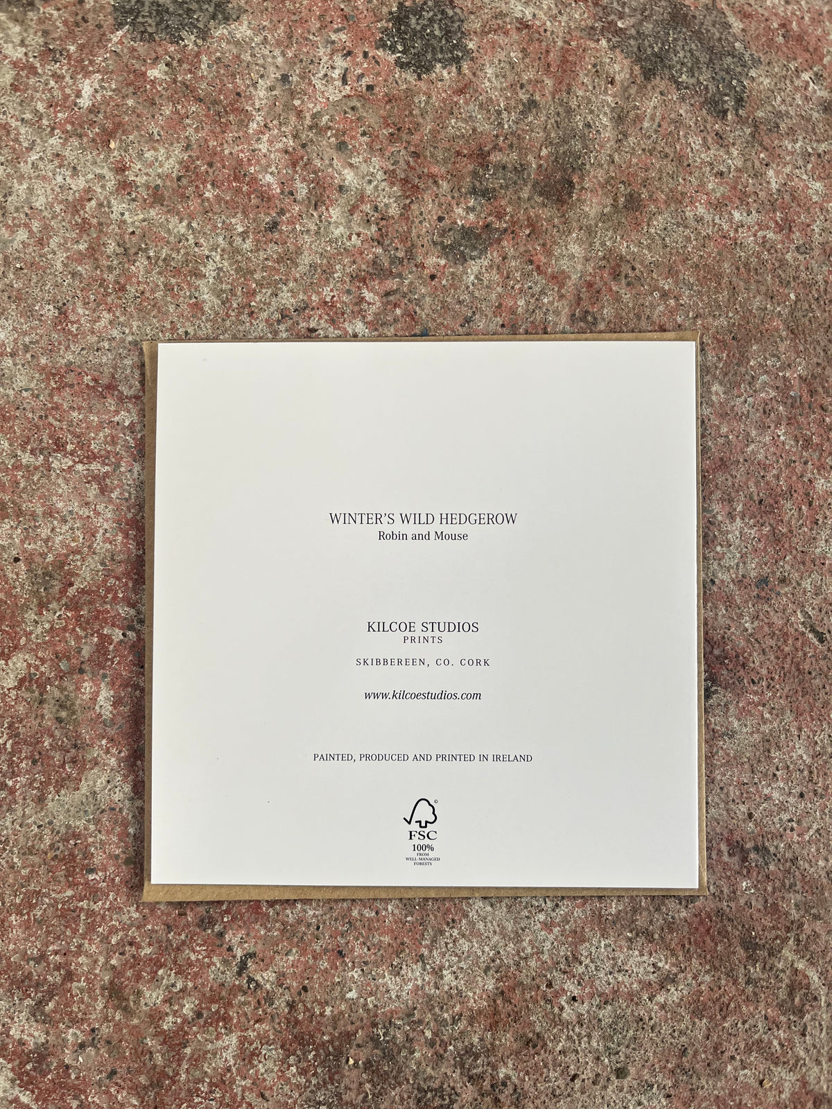 Winter's Wild Hedgegrow Christmas Card-Kilcoe Studios