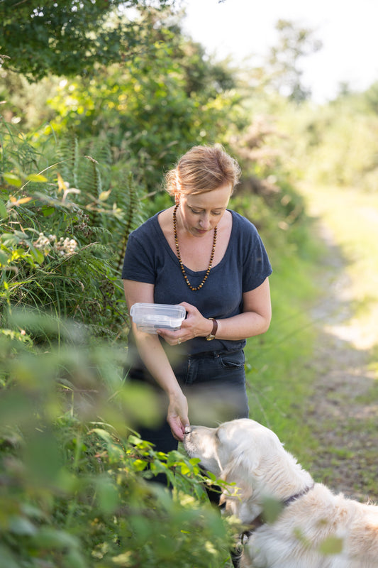 Why I’ll Never Buy Blackberries in the Supermarket