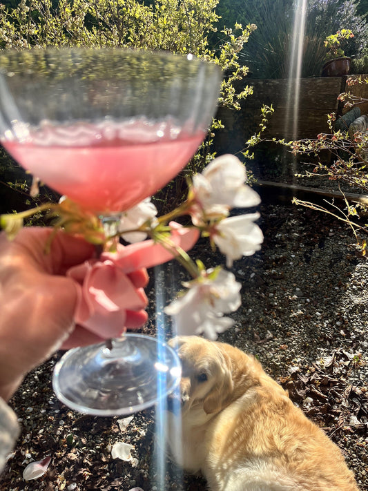 Celebrate spring with this Rhubarb, Ginger &amp; Lime Mocktail