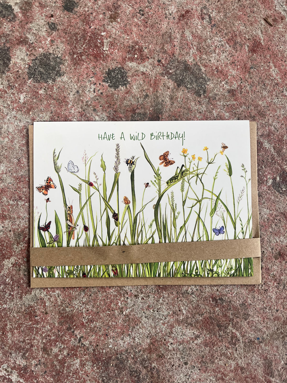 A square greeting card with a kraft paper band across the lower half, printed with wild grasses, butterflies, and the phrase 'HAVE A WILD BIRTHDAY!' in green, placed on a mottled stone surface.