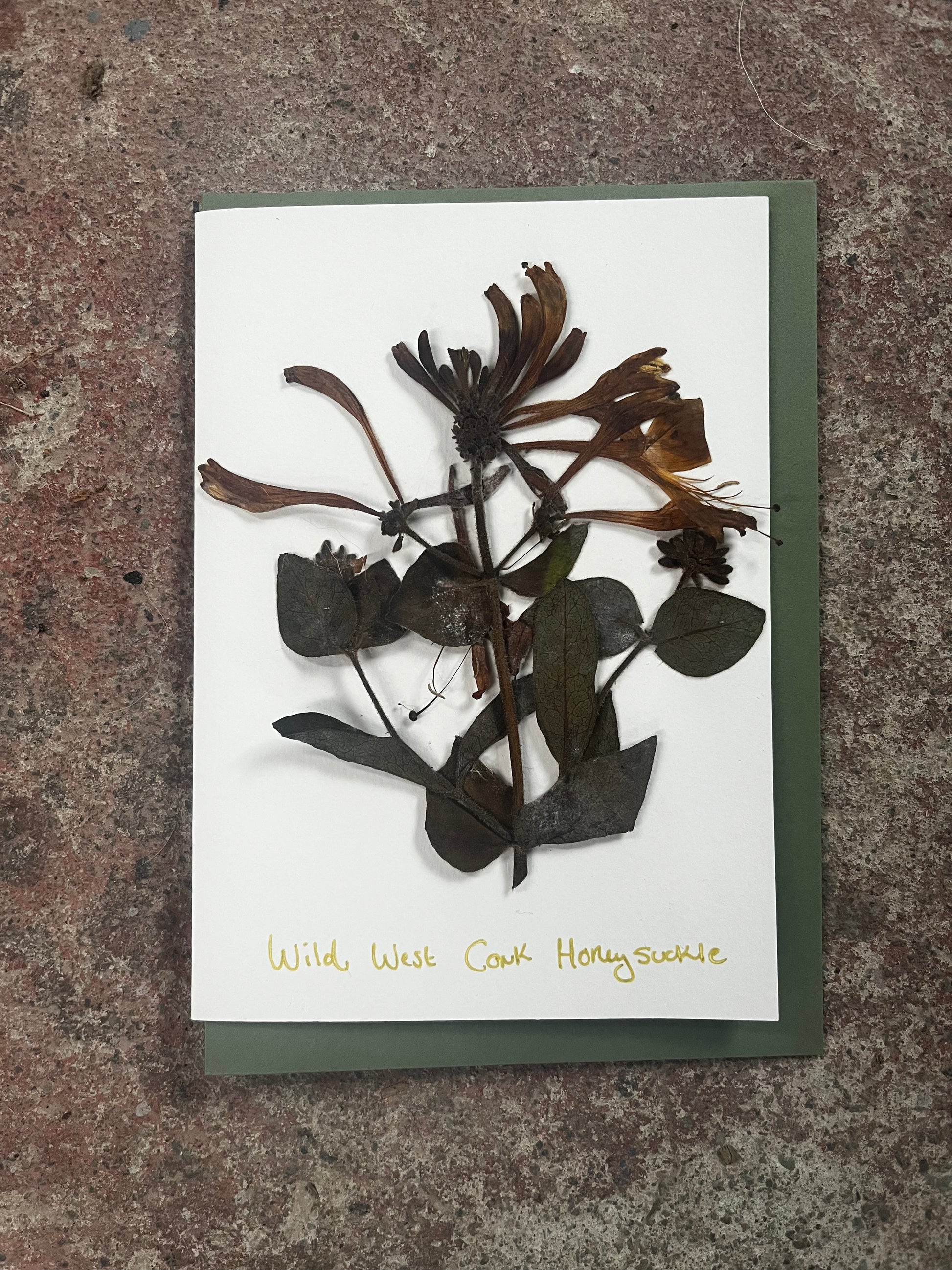Card with pressed wild honeysuckle on a textured surface