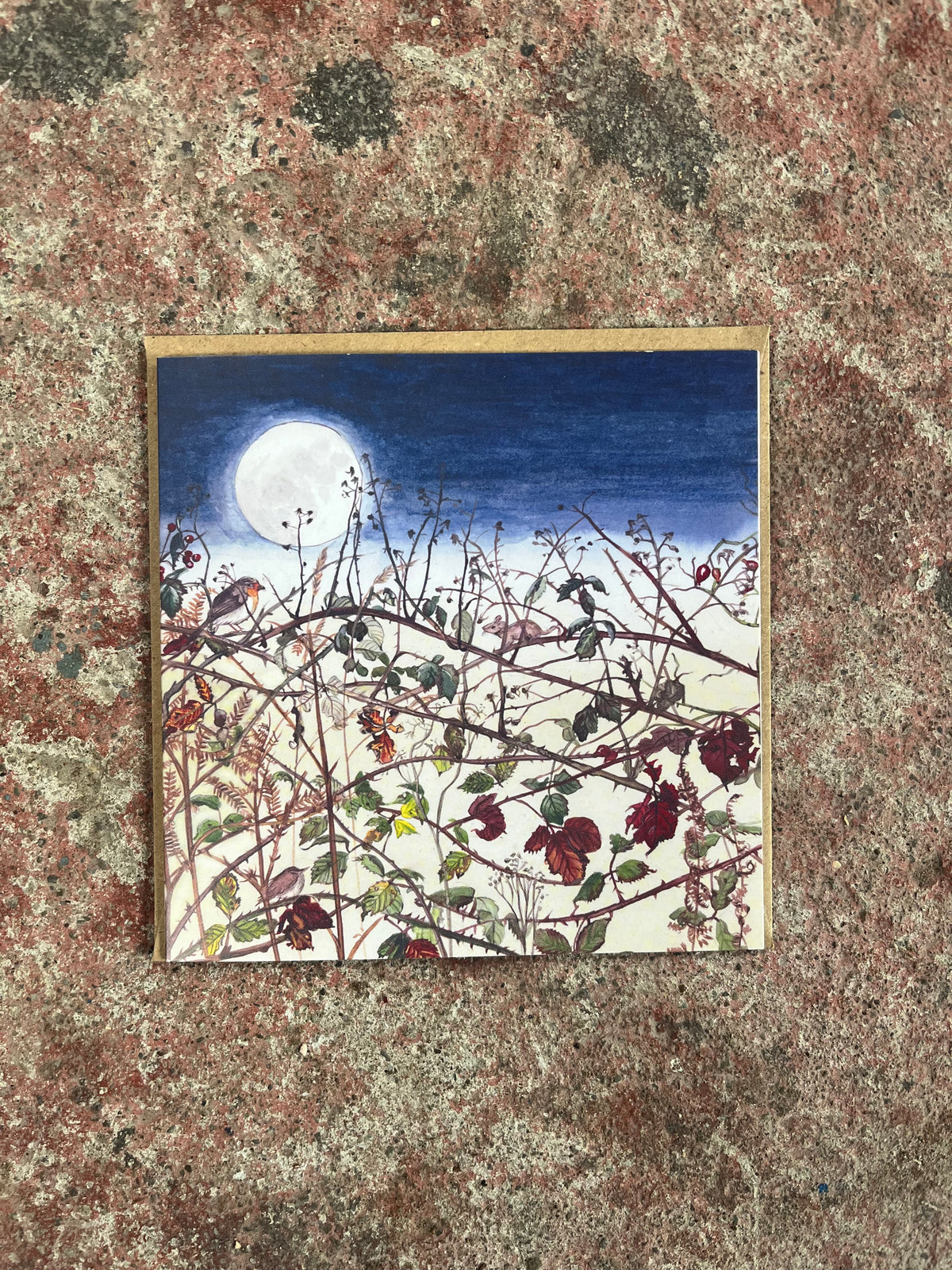 Winter's Wild Hedgegrow Christmas Card-Kilcoe Studios