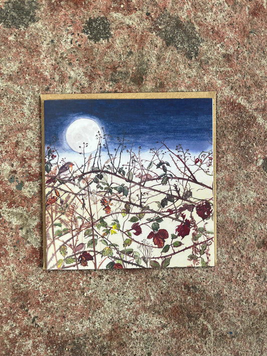 Winter's Wild Hedgegrow Christmas Card-Kilcoe Studios