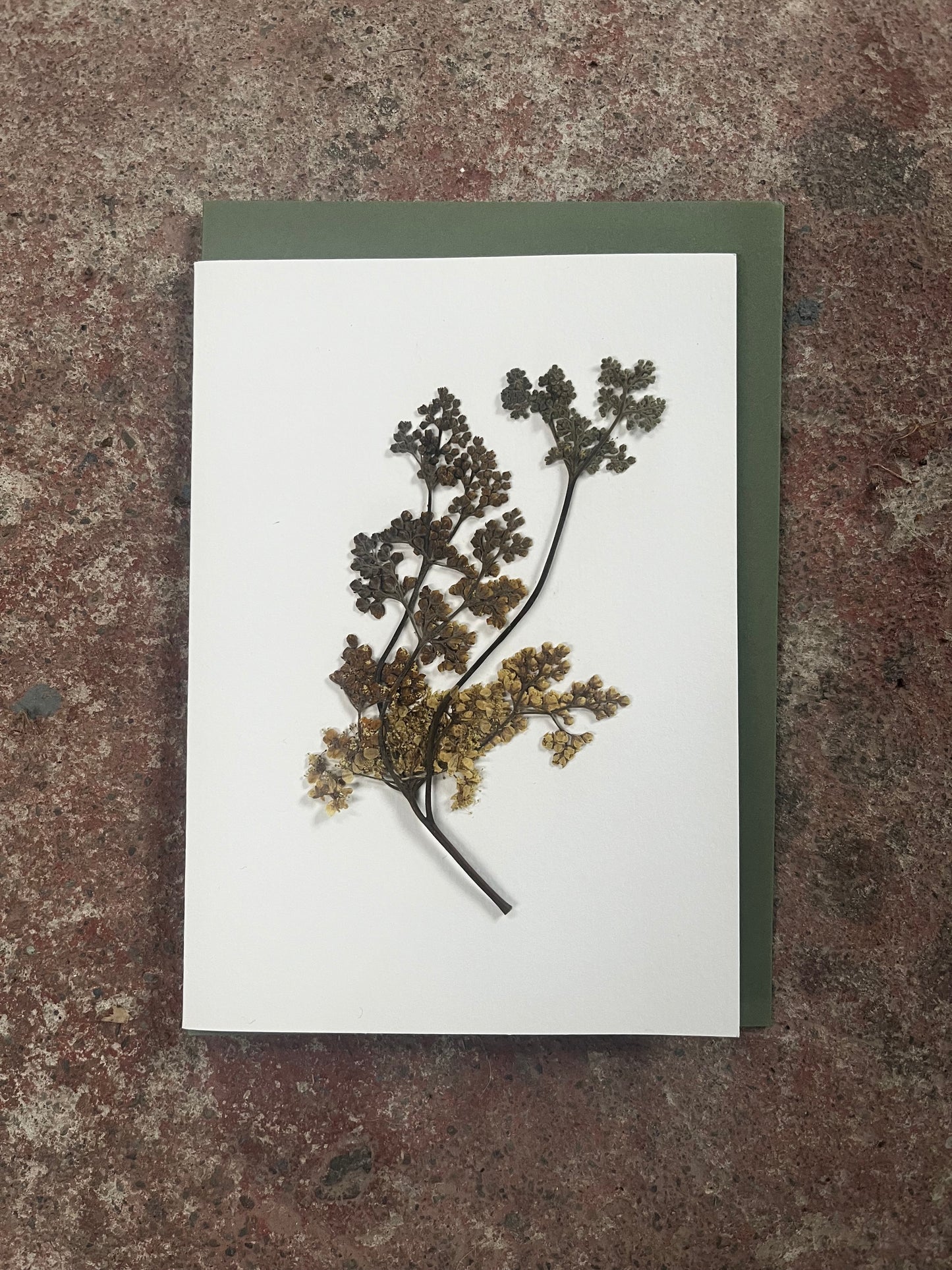 This is a card with sweet meadow dried flower on the front of it. 