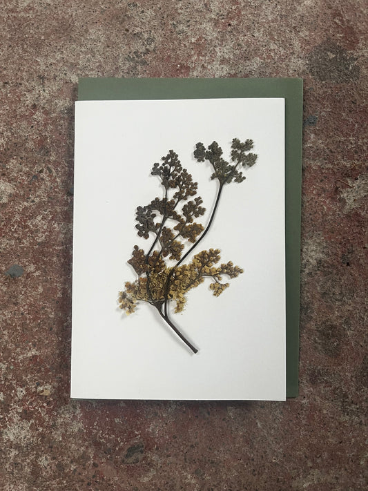 This is a card with sweet meadow dried flower on the front of it. 