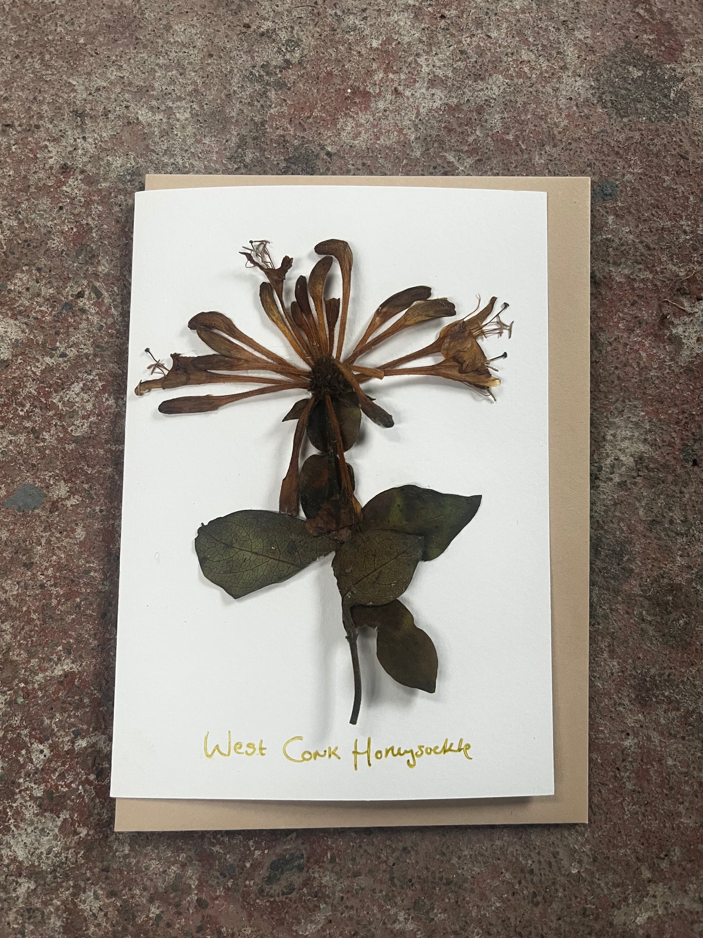 Pressed flower arrangement on a greeting card with 'West Cork Honey' text, placed on a textured surface.