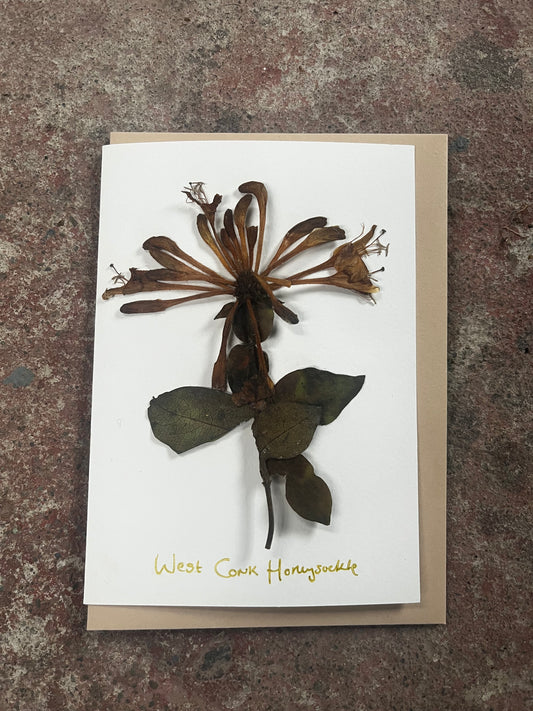 Pressed flower arrangement on a greeting card with 'West Cork Honey' text, placed on a textured surface.