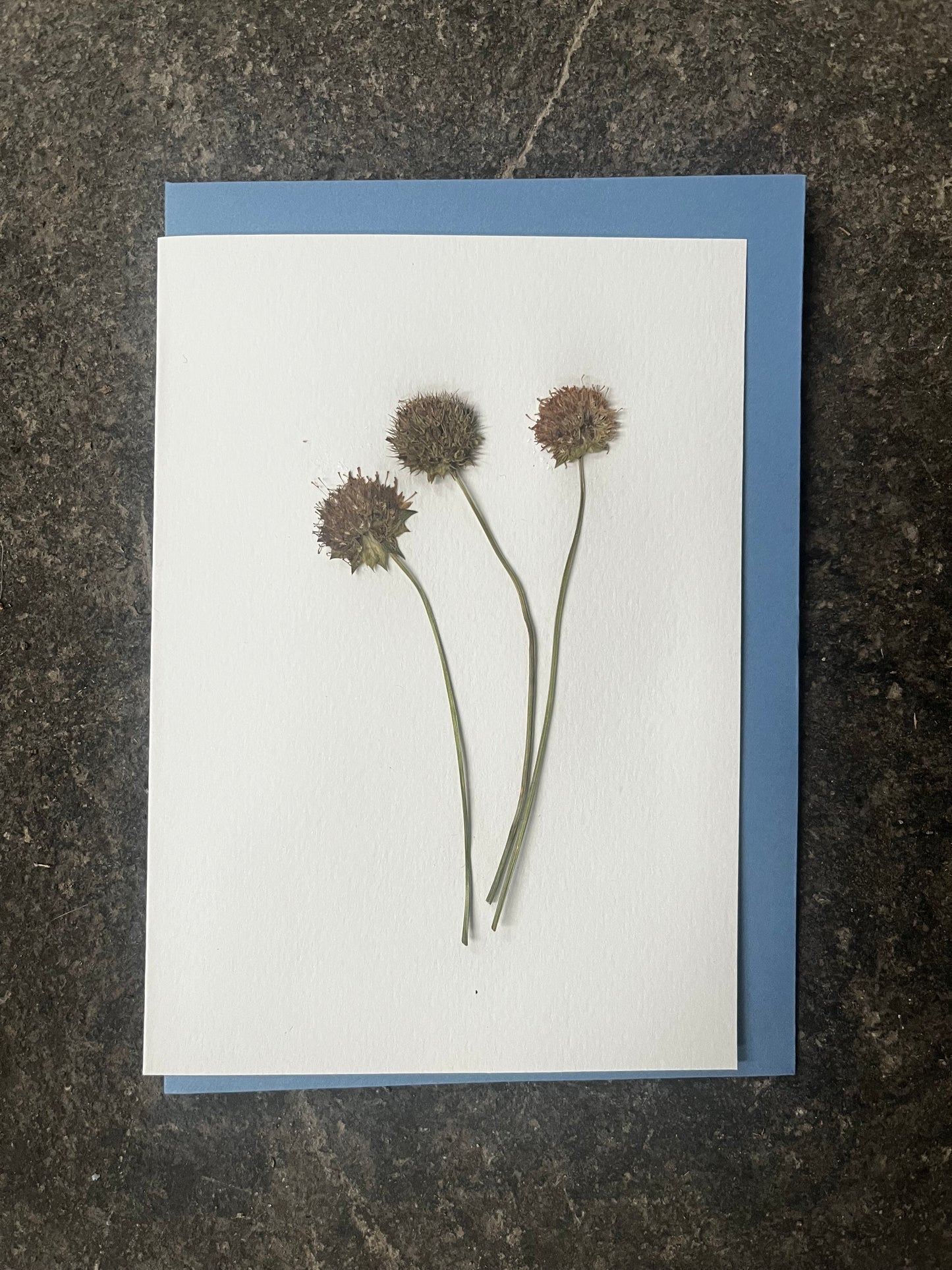 Greeting card with pressed flowers on a textured surface