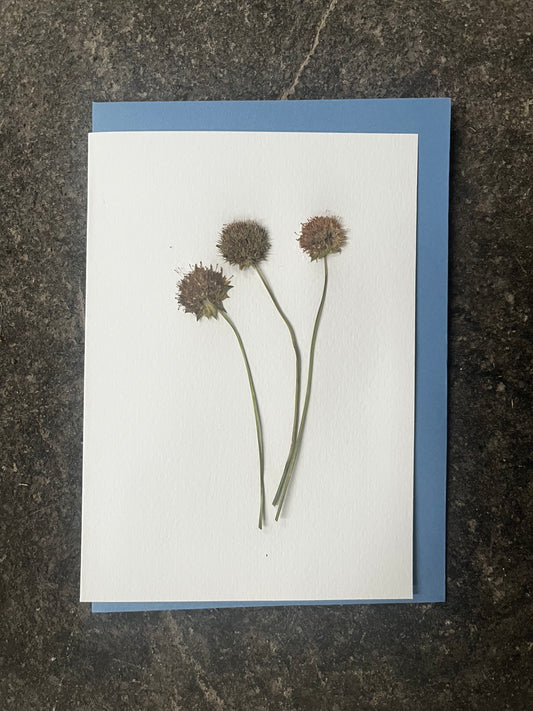 Greeting card with pressed flowers on a textured surface