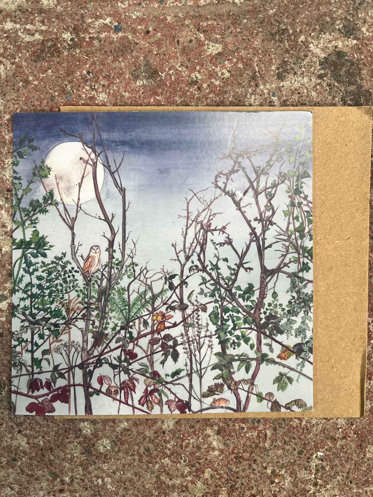 Winter's Wild Hedgegrow Christmas Card-Kilcoe Studios (Copy)